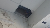 Cửa hàng Điện Máy Xanh bị trộm đột nhập từ mái nhà