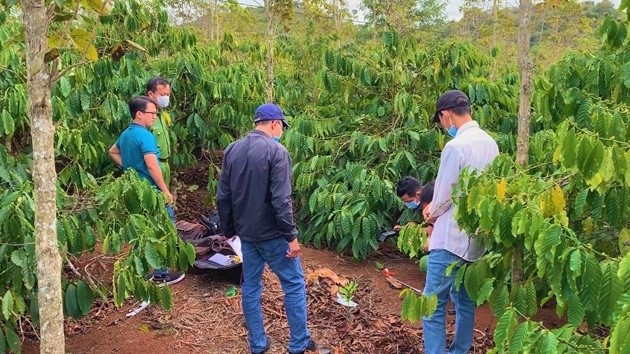 Truy tìm người con trai, sau khi phát hiện người mẹ chết trong rẫy