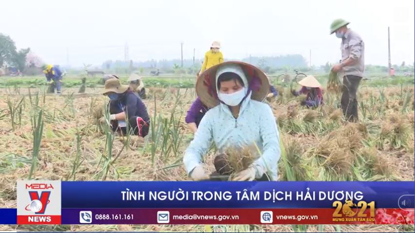 Tình người trong tâm dịch Hải Dương