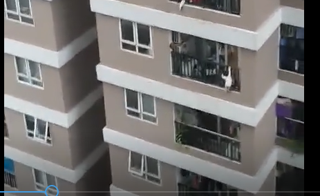 Người hùng đỡ cháu bé 3 tuổi rơi từ tầng 13 chung cư