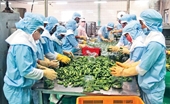 Cán cân thương mại hàng hóa của Việt Nam thặng dư 500 triệu USD