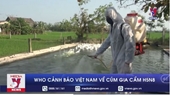 WHO cảnh báo Việt Nam về cúm gia cầm H5N8