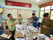 CLIP Phát hiện lô dược phẩm lậu cực lớn từ sân bay Nội Bài
