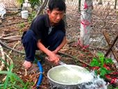 Giếng nước ở Quảng Ngãi có màu và mùi lạ Chủ tịch UBND tỉnh yêu cầu kiểm tra