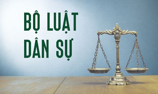 Năng lực hành vi dân sự cá nhân