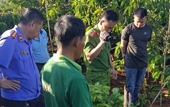 VKSND tỉnh Đắk Lắk Kiến nghị tăng cường công tác phòng, chống trồng cây có chứa chất ma túy