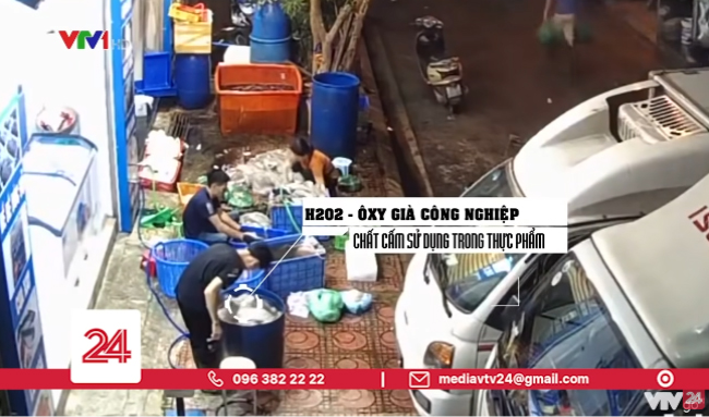 Mực thối được tẩy trắng đã lên mâm cơm gia đình bạn như thế nào