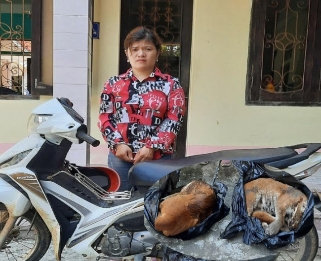Người phụ nữ vận chuyển 2 cá thể beo lửa đi tiêu thụ