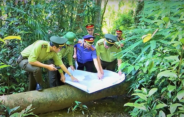 Tháng 5 nhớ lời Bác dạy