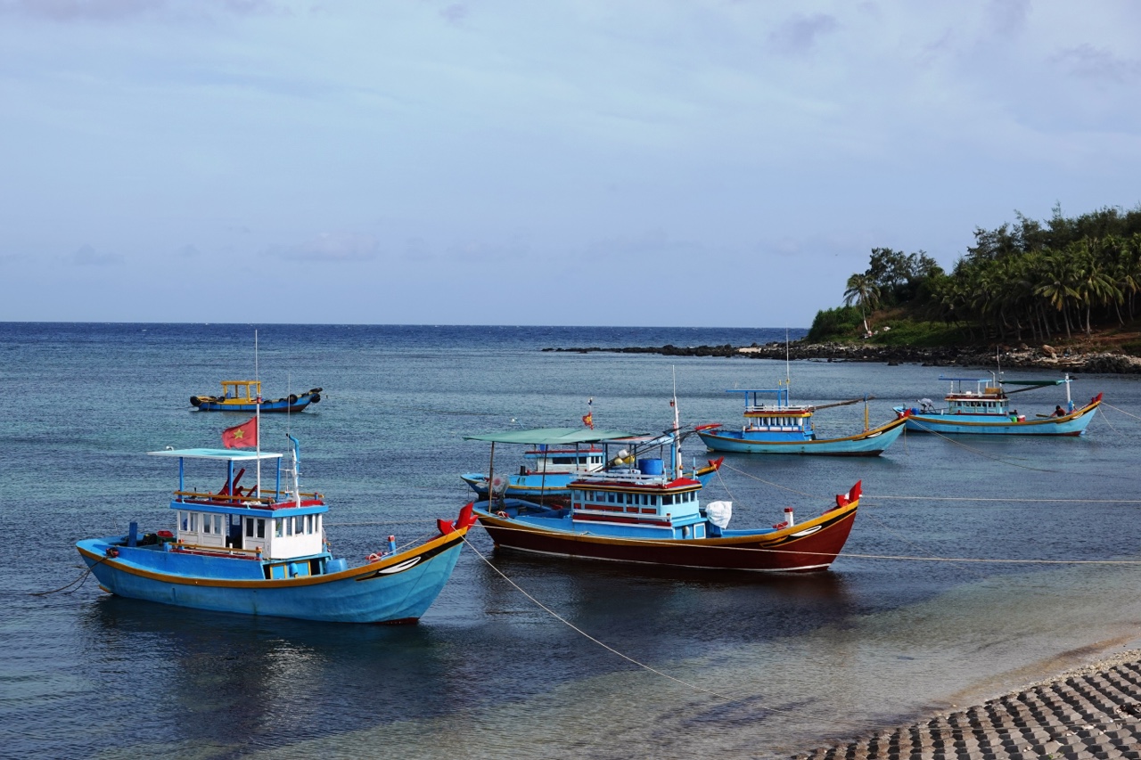 Kỳ thú Đảo Phú Quý