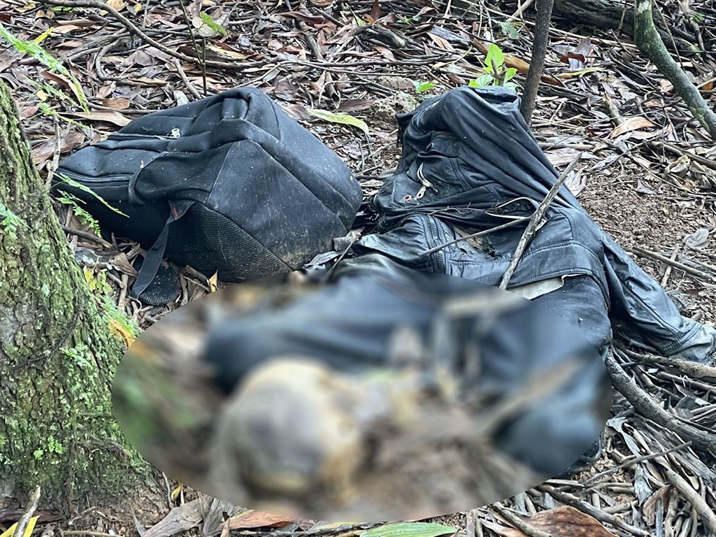 Phát hiện thi thể đang phân hủy trong rừng tràm