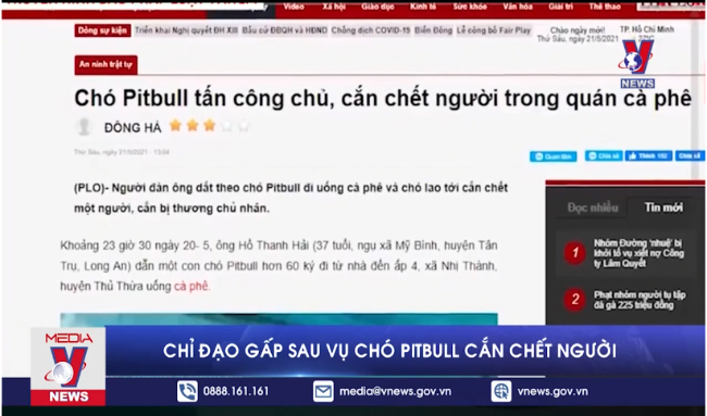 Các địa phương tăng cường biện pháp kiểm soát sau vụ chó Pitbull cắn chết người