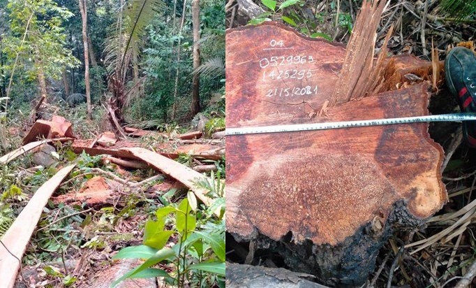 Kháng nghị án phúc thẩm, đề nghị hủy “án treo” đối với vị Phó Chủ tịch xã nhận hối lộ