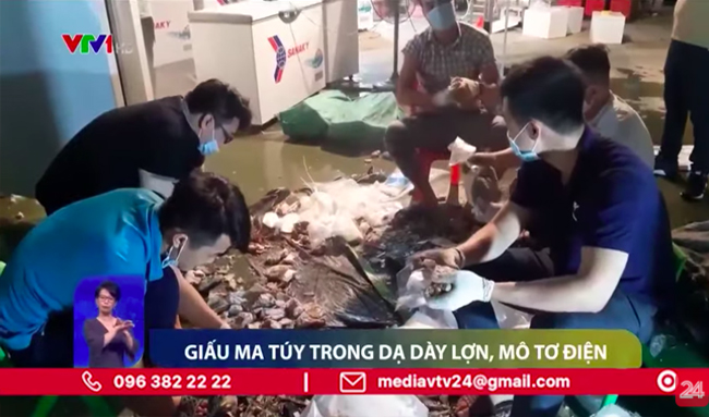 Tinh vi thủ đoạn ngụy trang ma túy trong dạ dày heo