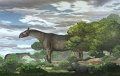 Phát hiện hóa thạch loài tê giác khổng lồ chưa từng biết đến ước nặng tới 24 tấn