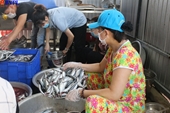 Đà Nẵng gửi cá kho, bánh tét tới người dân TP Hồ Chí Minh