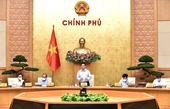 Thành lập Tổ công tác đặc biệt của Chính phủ tại TP Hồ Chí Minh