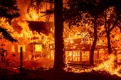 Cháy rừng khủng khiếp khắp 21 tỉnh của Thổ Nhĩ Kỳ, nhiều khu dân cư bị thiêu rụi