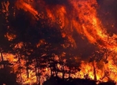 Cháy rừng như hỏa ngục áp sát các khu du lịch ven biển Thổ Nhĩ Kỳ, cư dân và du khách tháo chạy