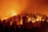 Điều tra vụ cháy gần 15ha rừng, nghi do đốt vàng mã cháy lan