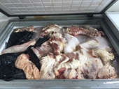 Hãi hùng phát hiện hàng tấn thịt lợn bốc mùi, mắc bệnh trong cơ sở kinh doanh