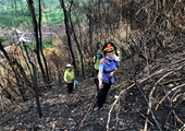 Ngược ngàn truy tìm thủ phạm gây ra các vụ cháy rừng