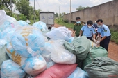 Phát hiện hơn 1 tấn khẩu trang y tế lỗi được thu gom về tái chế để bán