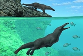Tìm thấy hoá thạch 42 triệu năm tuổi của cá voi  bốn chân