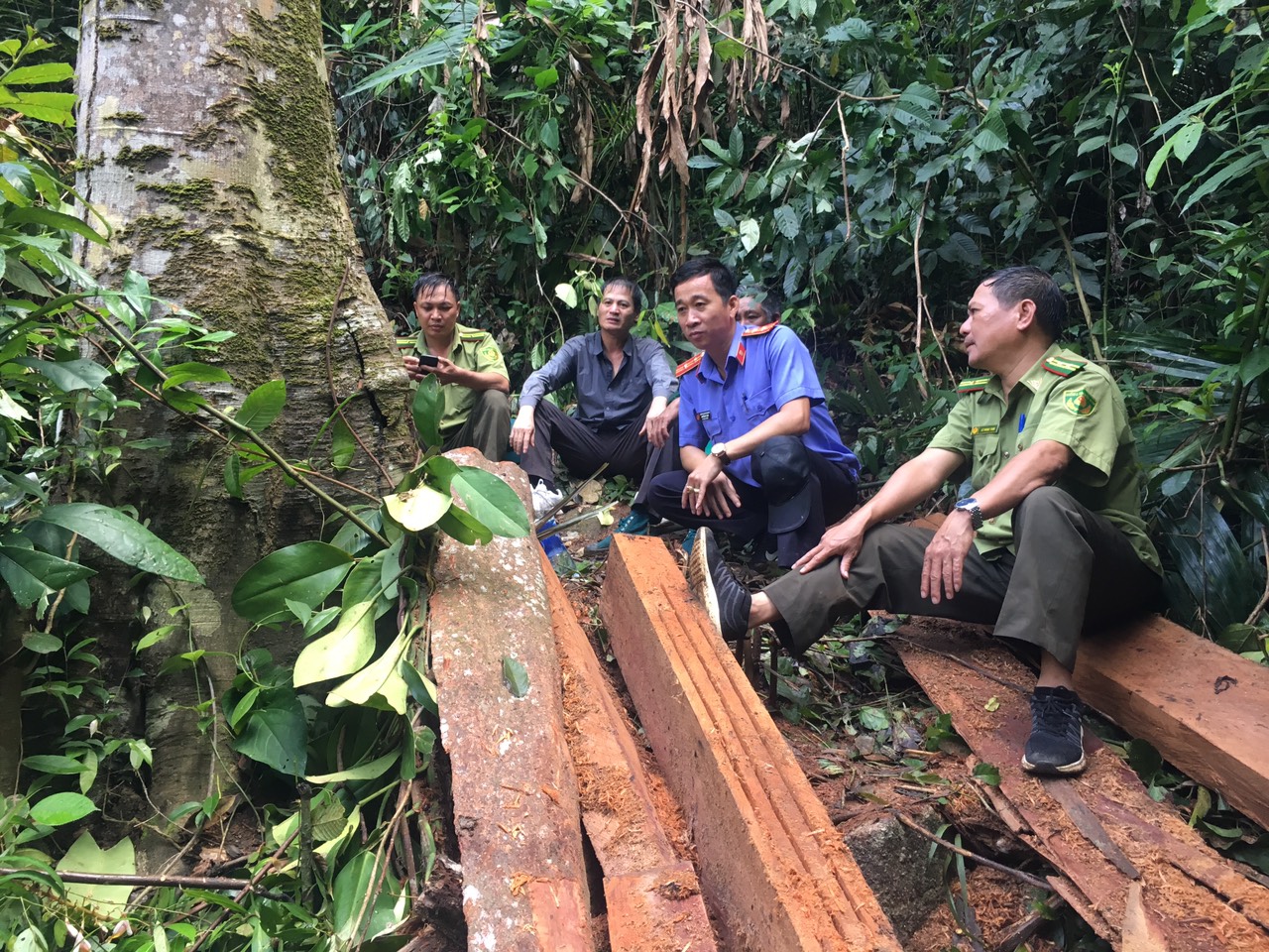 Tiếp cận “công trường” khai thác gỗ của lâm tặc trong rừng M’Đrắk