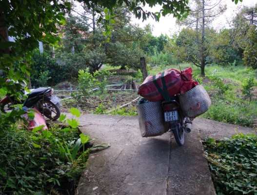 Bắt khẩn cấp đối tượng mua bán hàng cấm trong thời gian giãn cách xã hội