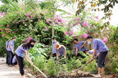 Xây dựng môi trường làm việc xanh - sạch - đẹp ở VKSND tỉnh Nghệ An