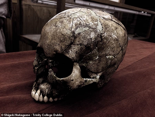 Hồi sinh lại người Nhật Bản cổ từ hài cốt 9 000 tuổi