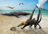 Phục dựng thành công quái vật bay” hoá thạch từ 160 triệu năm trước