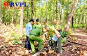 Kiểm sát khám nghiệm hiện trường vụ “gỗ lậu” tại Trung tâm Bảo tồn voi
