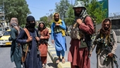 Các tay súng tự xưng Taliban tấn công đám cưới đang chơi nhạc, 3 người thiệt mạng