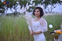 Cánh đồng lau trắng nở rộ thu hút giới trẻ ở Đà Nẵng