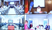 Hội thảo trực tuyến chia sẻ kinh nghiệm về cải cách tư pháp giữa VKSND Việt Nam - CHLB Đức