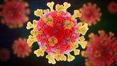WHO lo ngại trước sự xuất hiện của chủng coronavirus mới ở Nam Phi
