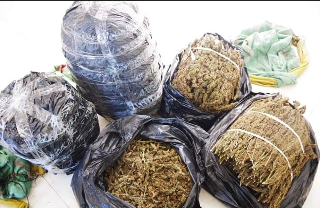 Phát hiện nhóm người vận chuyển gần 35kg hàng nghi cần sa khô