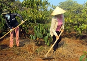 VKSND tỉnh Đắk Lắk kiến nghị Chủ tịch UBND tỉnh khắc phục vi phạm trong công tác thu hồi đất