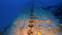 Tìm thấy xác tàu ngầm Ý bị chìm trong Thế chiến II ở Biển Aegean
