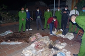 Khởi tố Chủ tịch UBND xã Tiên Phong giết hổ nấu cao tại nhà