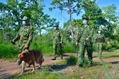 Bộ đội biên phòng Đắk Lắk tăng cường bảo vệ biên giới dịp cuối năm