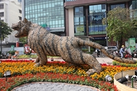 TP Hồ Chí Minh - cận cảnh những chú hổ “dương oai” ở đường hoa Nguyễn Huệ