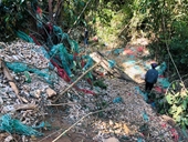 Nguyên nhân ban đầu vụ tai nạn thảm khốc khiến 6 người tử vong ở Gia Lai