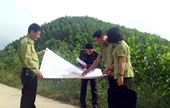 Quỹ Bảo vệ và Phát triển rừng tỉnh Thái Nguyên thực hiện hiệu quả nhiệm vụ được giao
