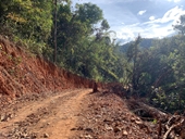 Tiếp tục phát hiện thêm vụ phá rừng làm đường Trường Sơn Đông ở Lâm Đồng