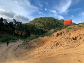Lâm Đồng Yêu cầu kiểm tra, xác minh vụ tự ý phá rừng để làm đường Trường Sơn Đông