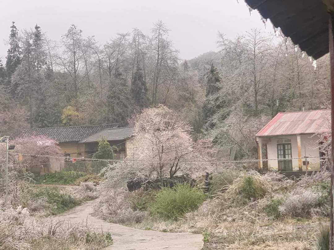 Miền Bắc rét đậm, rét hại, vùng núi xuất hiện băng giá