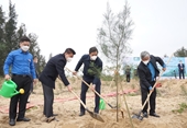 BIDV trồng 6 500 cây phòng hộ ven biển tại Nghệ An